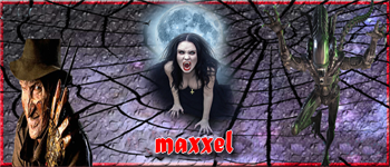 SIGNATURE-MAXXEL-350-X150.png