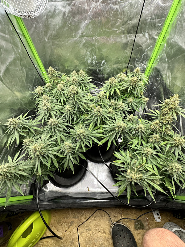 1BEA76E0-EF87-4D5F-9429-EF398131BF9C