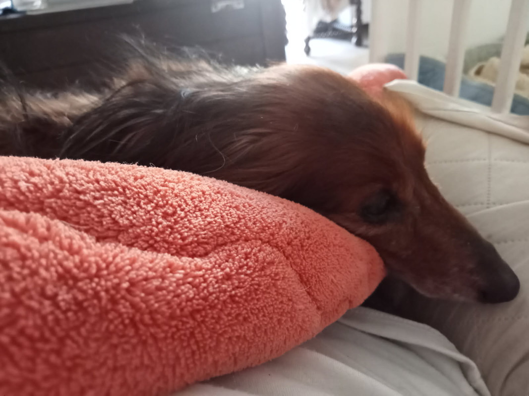 [Image: IMG-20250522-085344.jpg]