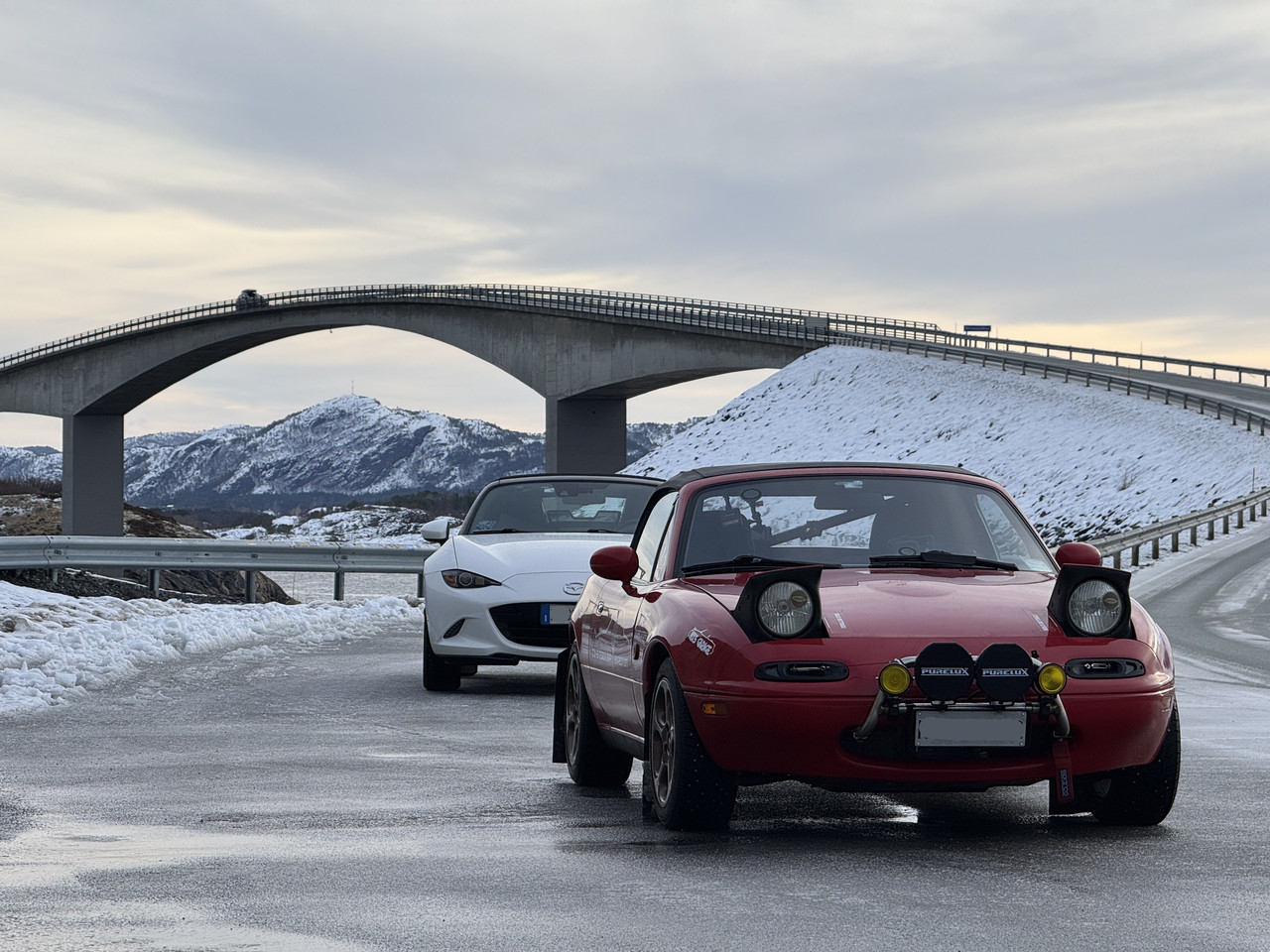 [Immagine: IMG-9405.jpg]