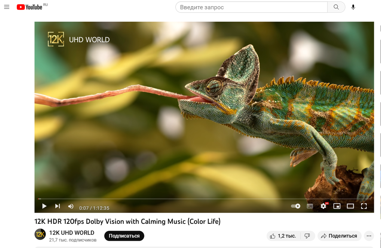 Снимок экрана 2023-02-12 125211