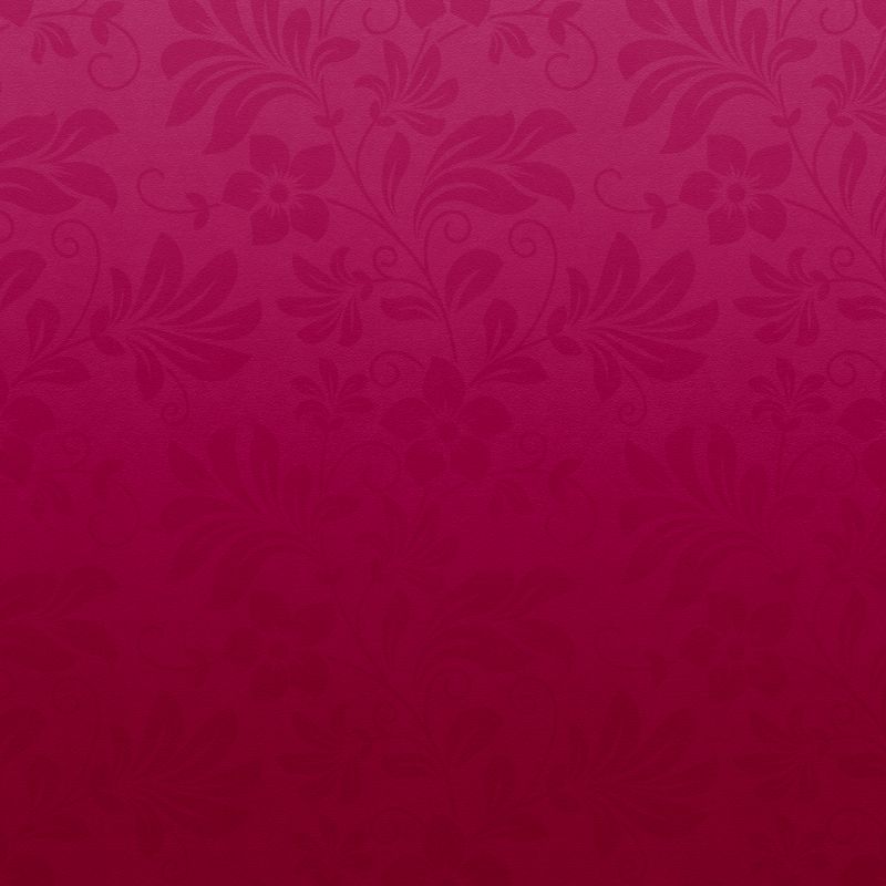 pp8