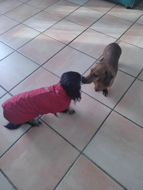 [Image: IMG-20250205-155923.jpg]