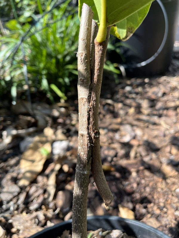 7173212D-C73B-4990-8C07-08C0475612AD