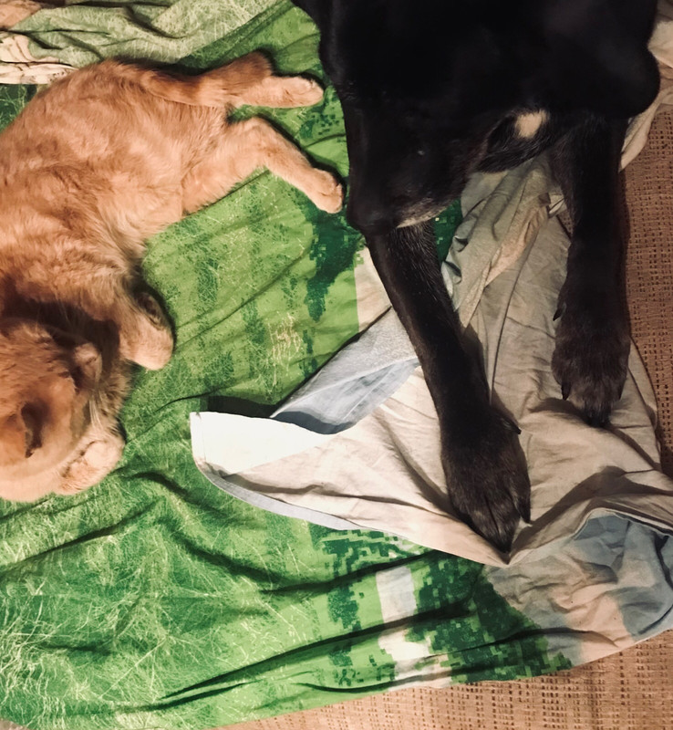 24E4A3D0-A9B5-4663-8006-55058E137D96