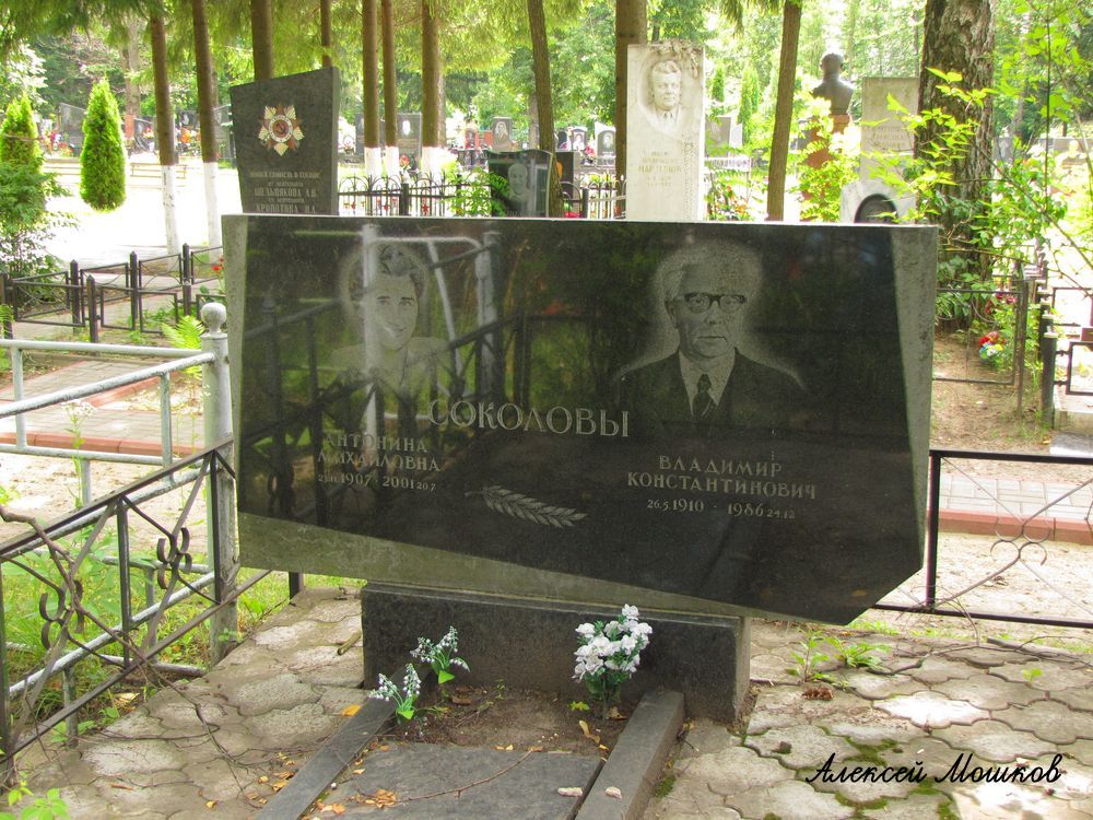 sokolov-vk-tomb