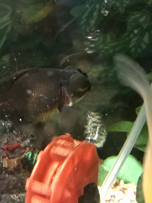 CD34EFEC-3DF8-44F8-8BB5-5CB39BF95D72