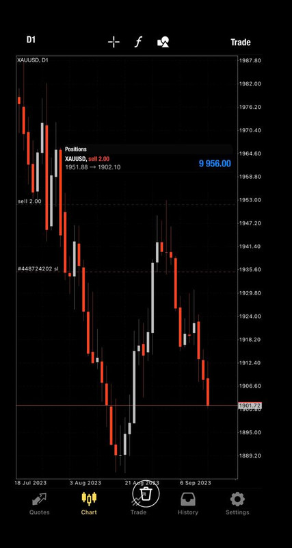 Trading Chart 1