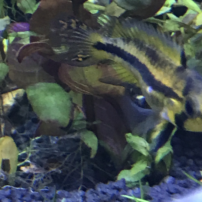 E6F50122-53AB-4311-A600-31CEDD308B46