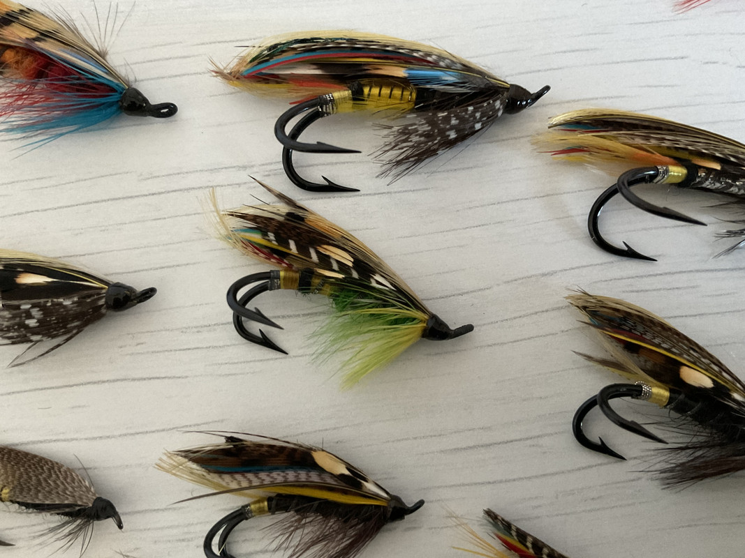 D583AAE6-735B-4F27-9FF2-A49B8C7DA6C4