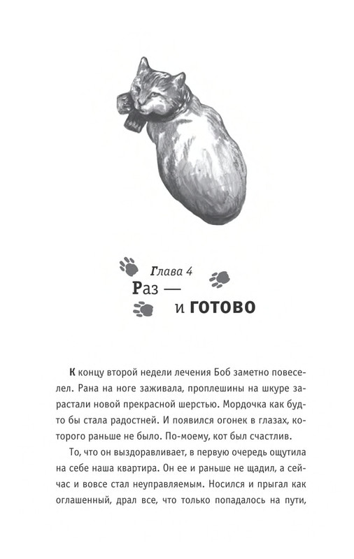 Bouen-Dzhejms-Ulichnyj-kot-po-imeni-Bob-Teper-i-dla-detej-1-Bob-neobychnyj-kot-564490-page-0029