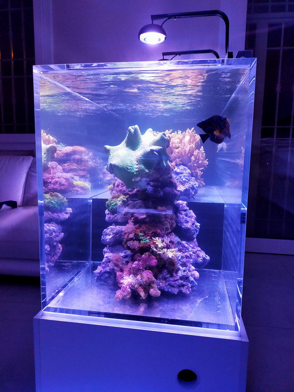 59606A58-37CE-4A88-92BB-1A1EBD29852E