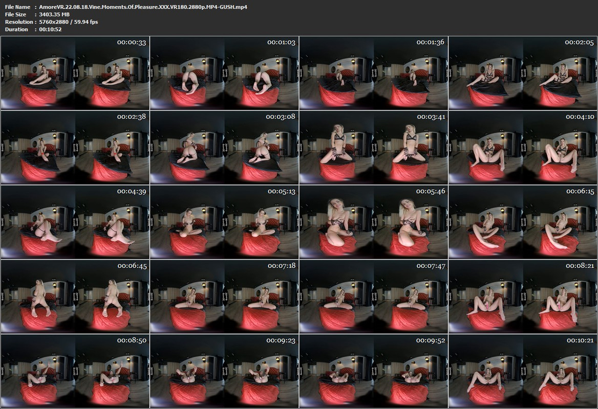 22082022194921screenshot
