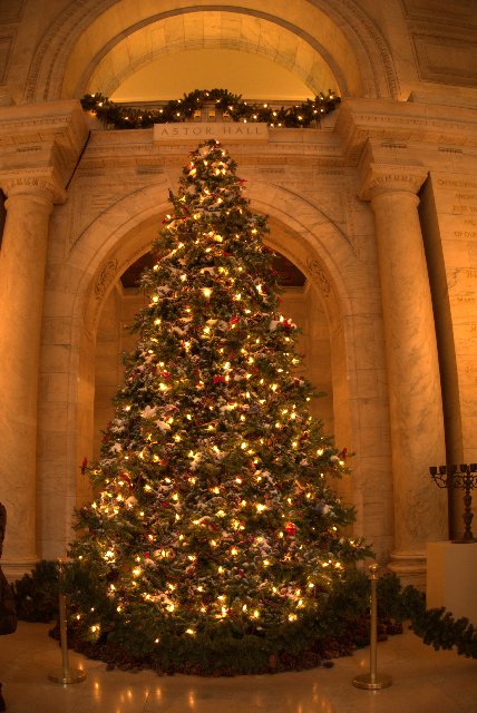 DIA 6: Financial District, Public Library, Grand Central y Jersey Gardens - DICIEMBRE EN NUEVA YORK, PRE NAVIDAD SOÑADA (7)