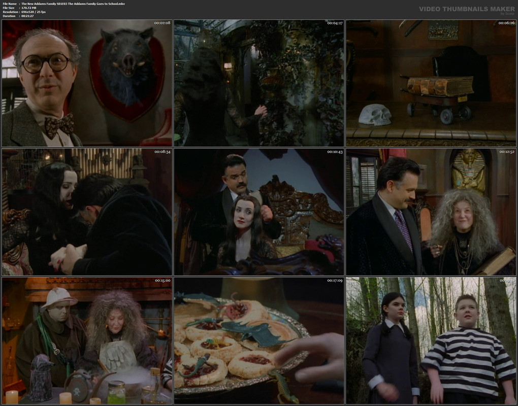The New Addams Family S01E03 The Addams Family Goes to School.mkv