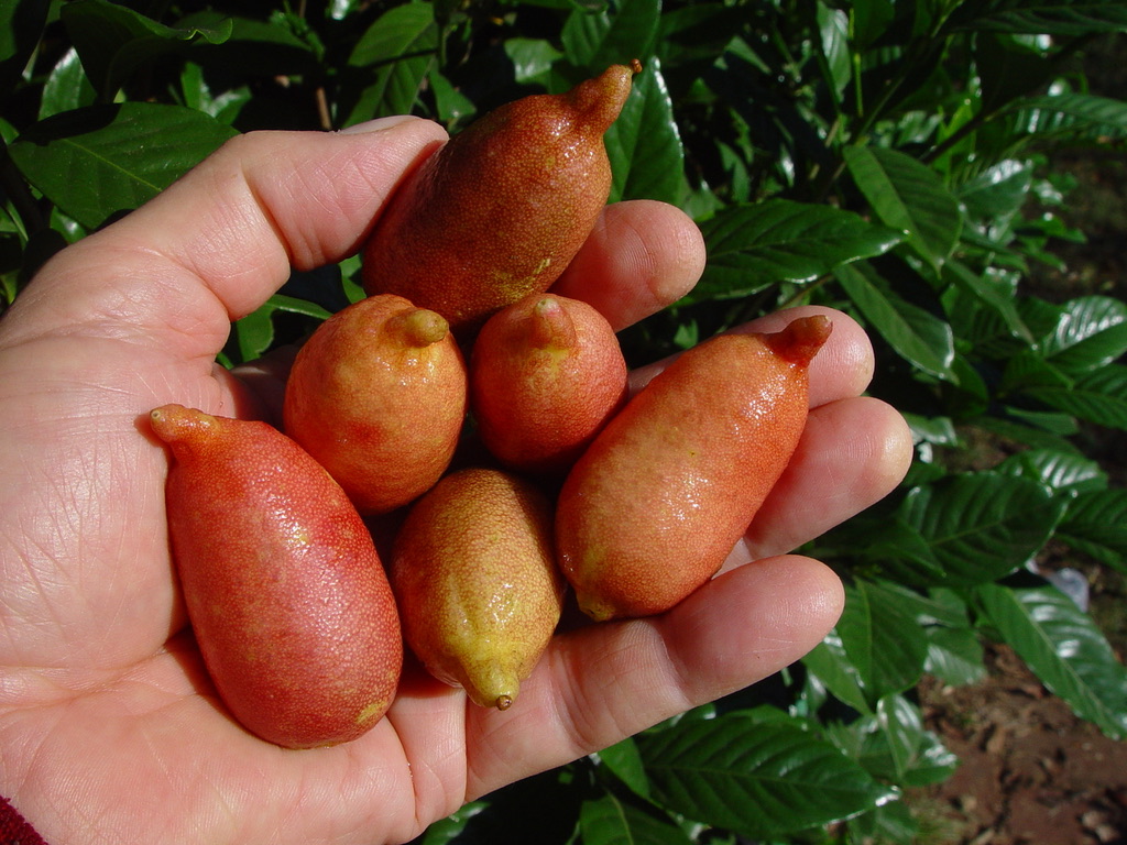 4E8101D4-DD89-4FA6-B6E5-B804BD03E868_1_105_c