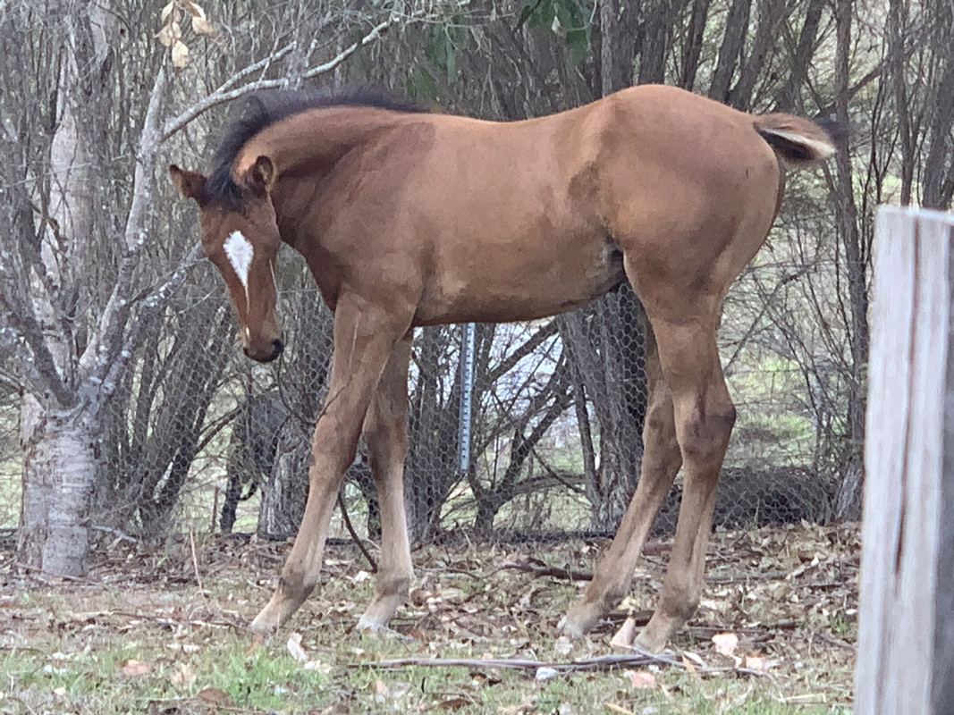 2A4E89F1-C197-4EAF-A3D7-E6DA13BE39EC