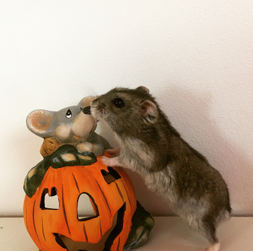 06130DE3-9CF6-4A6F-A1F7-5D6F5E1404C5