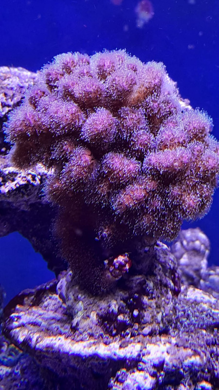 WhatsApp Image 2021-06-10 at 11.35.07 (2)