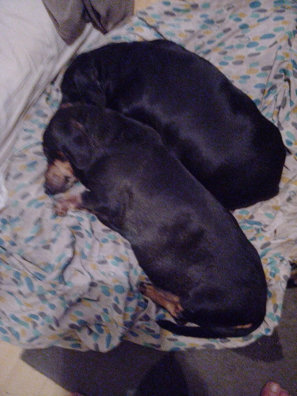 [Image: IMG-20250304-195453.jpg]