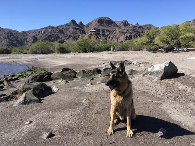 CD4008E0-54F6-4AE7-80B1-A076724BF0FA