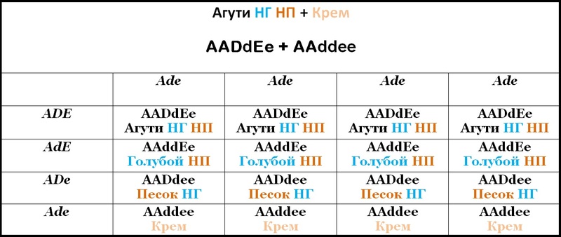 Таблица 29