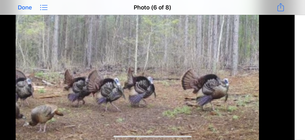 B953000A-AAFC-4931-AA99-2839968A1C07