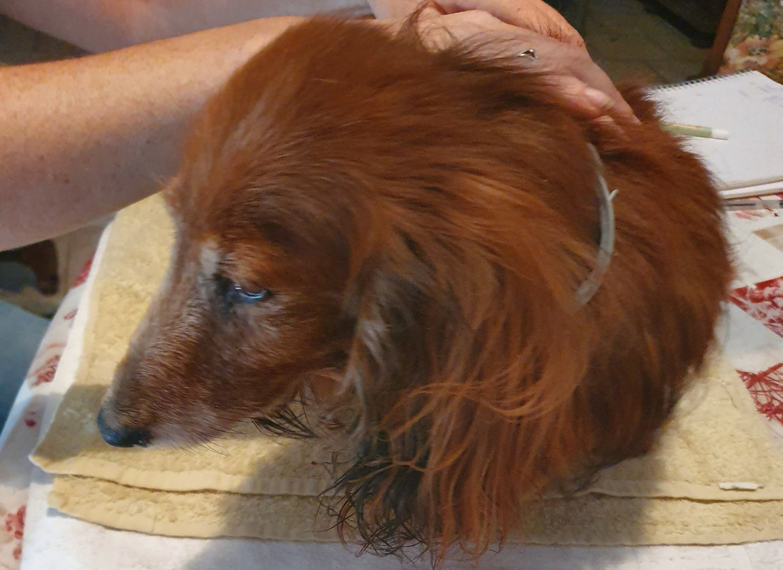 [Image: 20220615-155255.jpg]