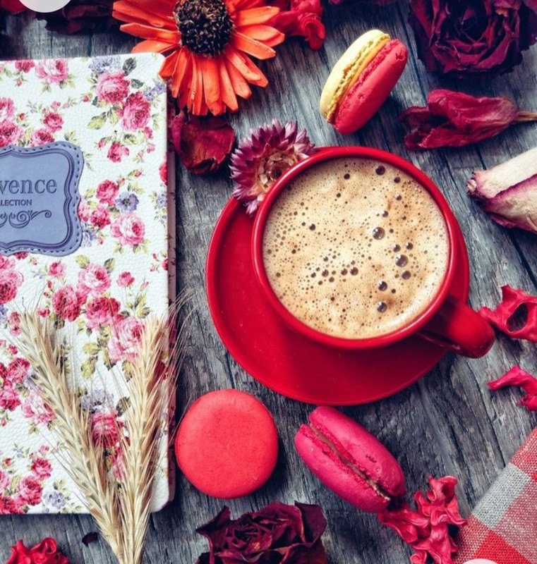 Screenshot_20221227_012306_Chrome