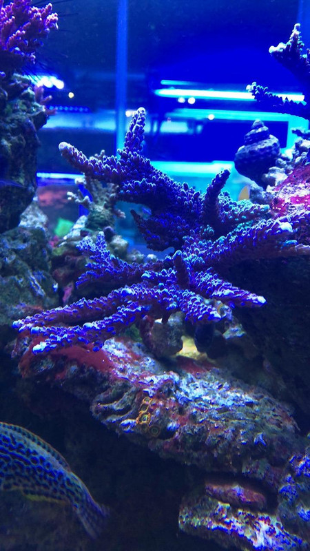 5691A821-F8BA-4C22-8054-91455BA9CC99