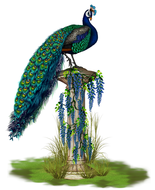 PeacockDreams_MM_Element (117)