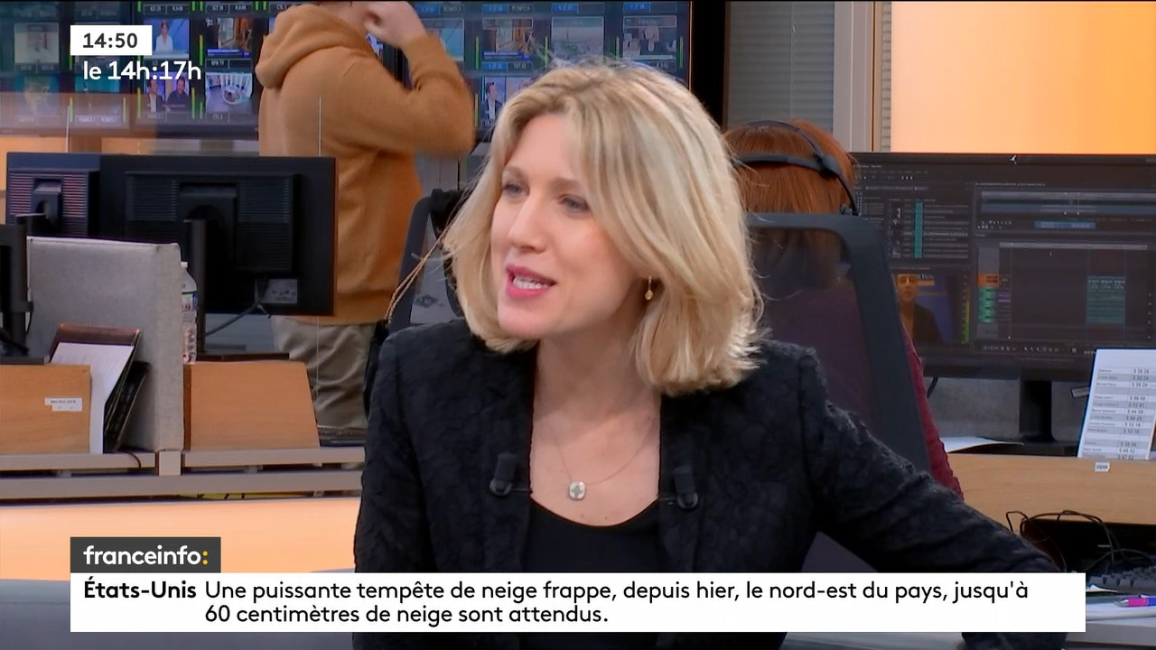 02.02 - 12.59.00 - Le 14h-17h. Au sommaire   Vrai ou fake. - francein....ts_snapshot_00.57.16.943