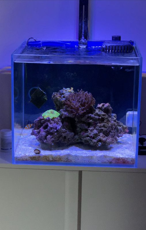 3DBECB21-496A-41B5-AC6A-E012D8F6AF07