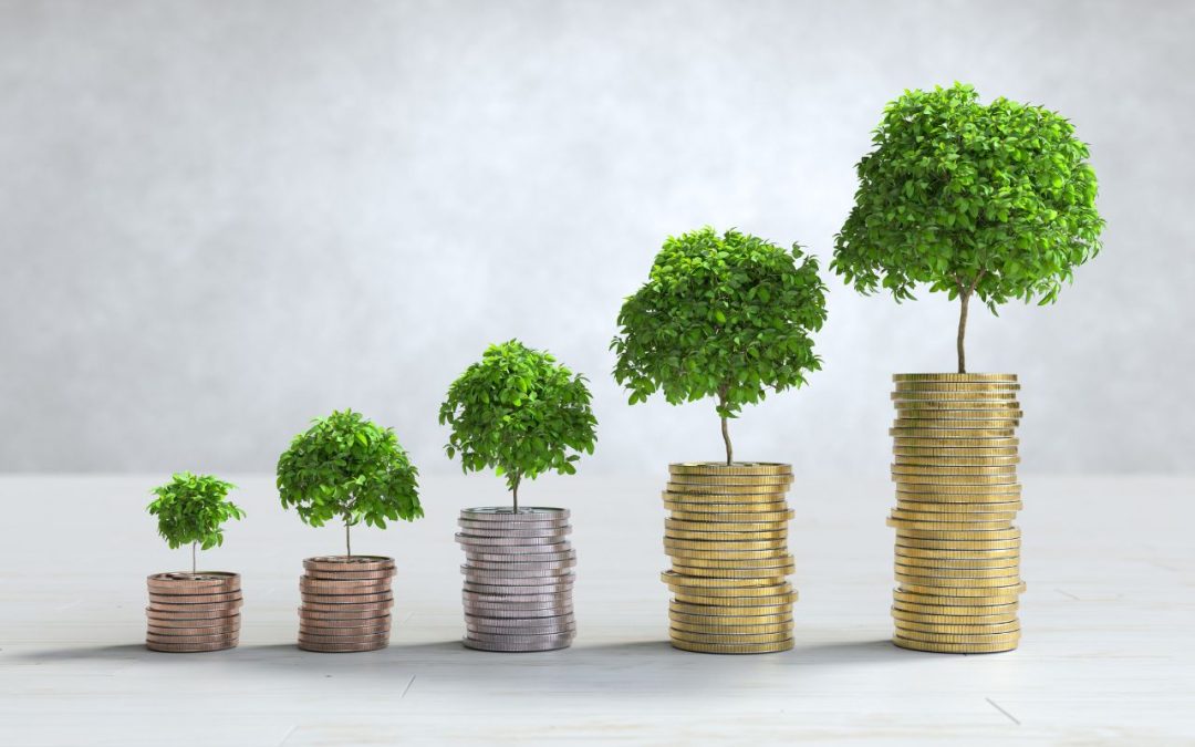 The White Oak Impact Fund's Inception
