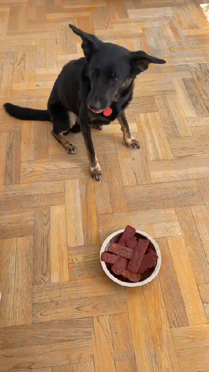 daily-gifdump-3320-04.gif