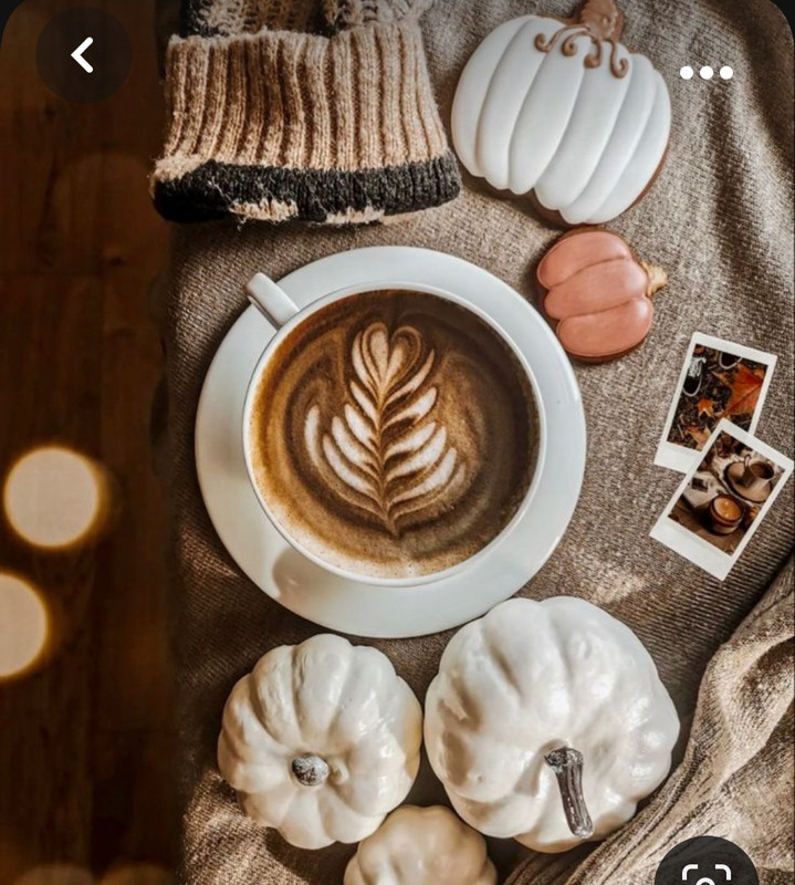 Screenshot_20231031_173357_Pinterest