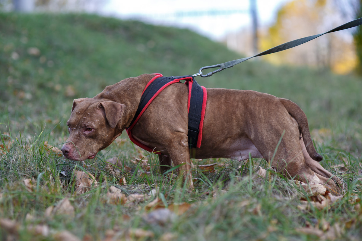 C6BE3935-9B74-4F46-9BFE-92B5620F3714