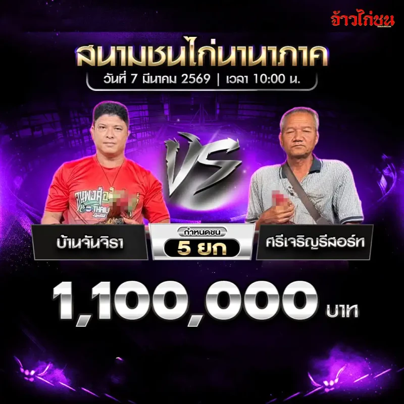โปรแกรมไก่ชน คู่ บ้านจันจิรา พบ ศรีเจริญรีสอร์ท สนามชนไก่นานาภาค 7 มีนาคม 2569