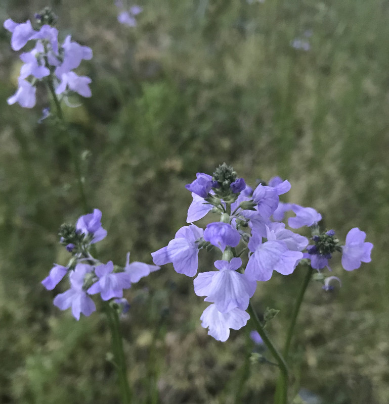 07B08734-FE58-447E-99F9-DC2A288E947E