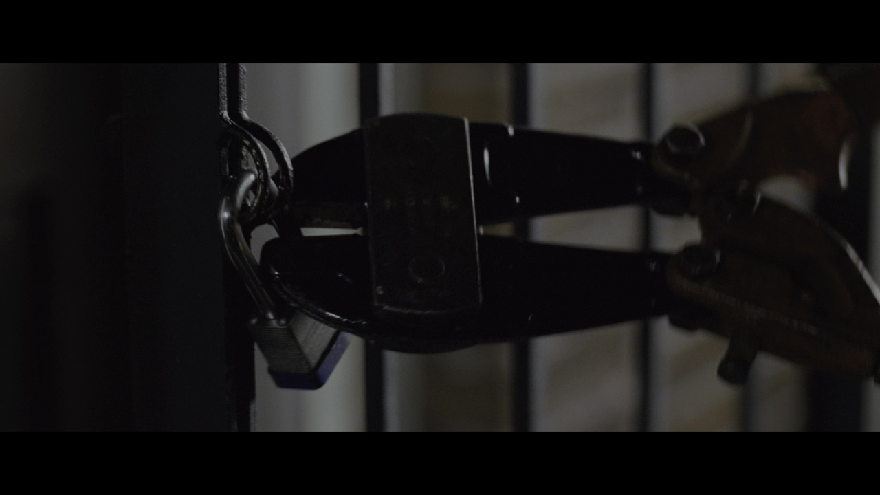 vlcsnap 2026 02 24 04h53m29s815