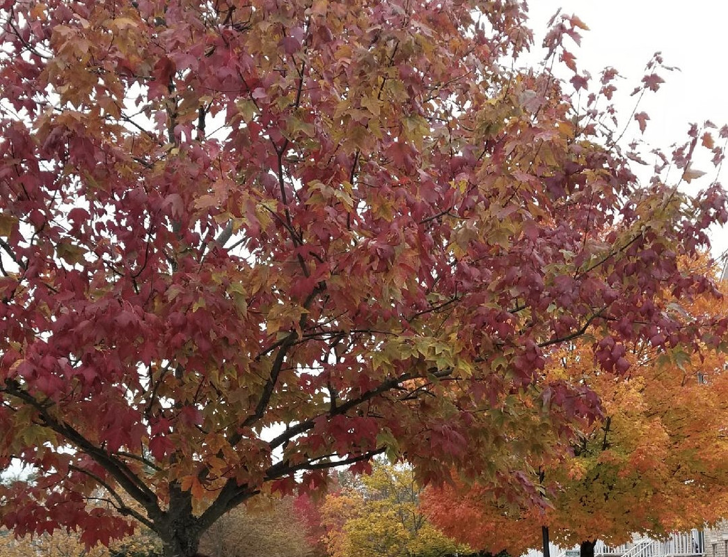 A7841C86-2C5F-4C18-9456-26B9ECD861E9