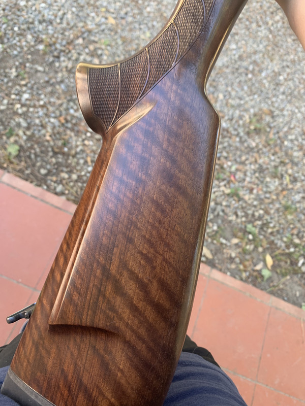 54F01876-88CF-4B41-B6FB-CB18798B0D70