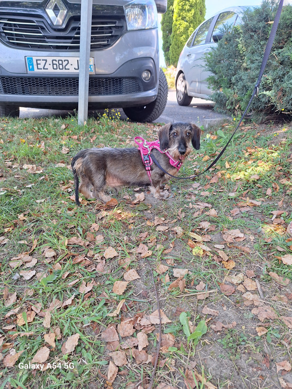 [Image: 20240804-150738.jpg]