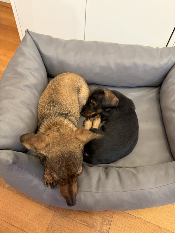 [Image: IMG-2219.jpg]