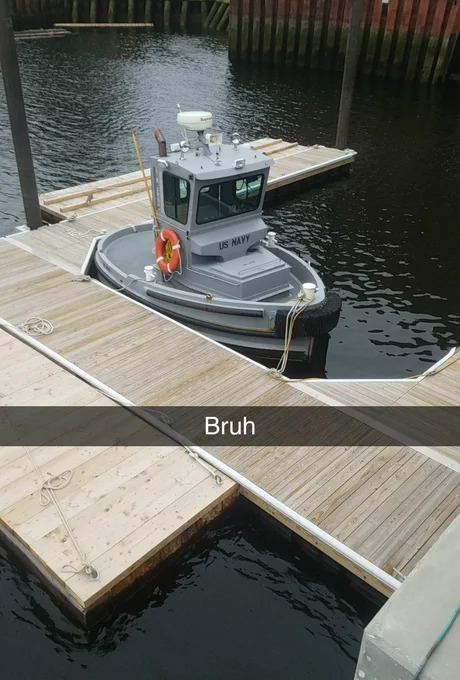 85642433.jpg