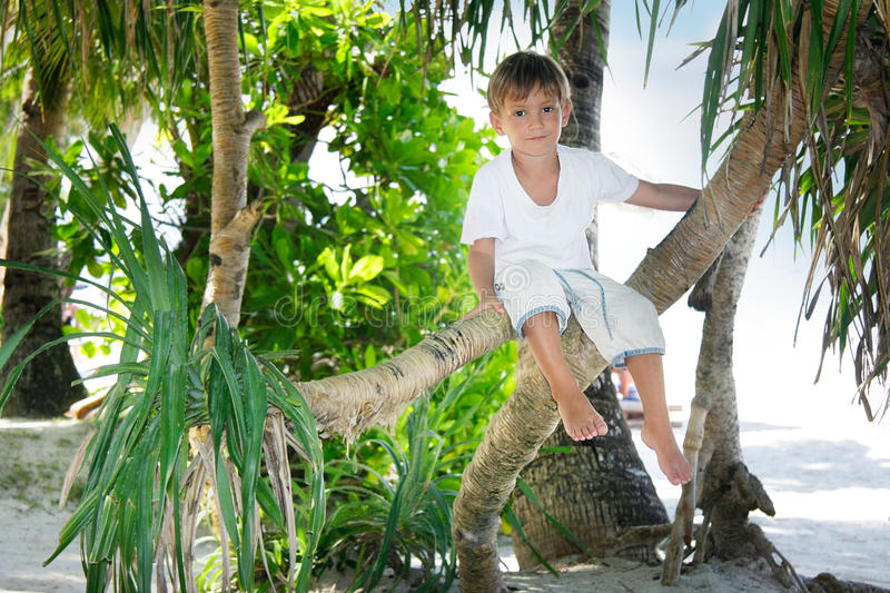 https://i.postimg.cc/43FCm28C/boy-sitting-palm-tree.jpg