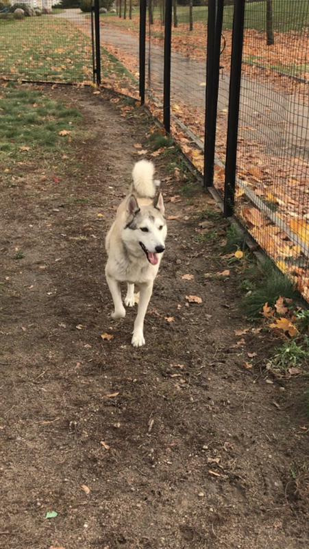 DACDC499-D568-4C55-9CD6-DCED624CC033