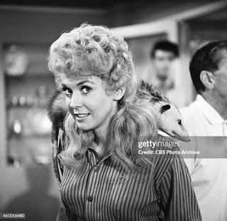 https://i.postimg.cc/43FcW2MZ/los-angeles-the-beverly-hillbillies-donna-douglas-as-elly-may-clampett-for-episode-the.jpg