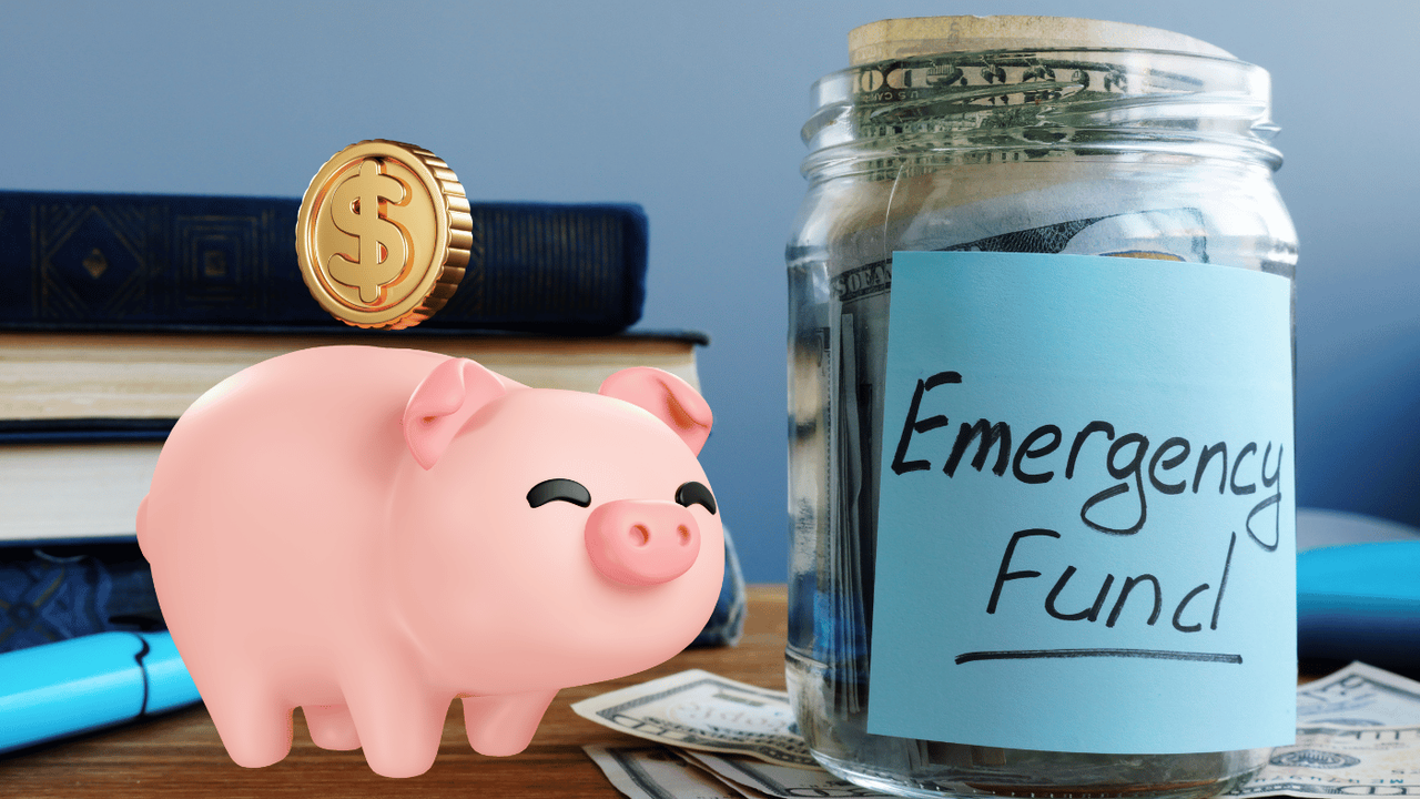 Unemployed but Secure: Emergency Fund's Assurance