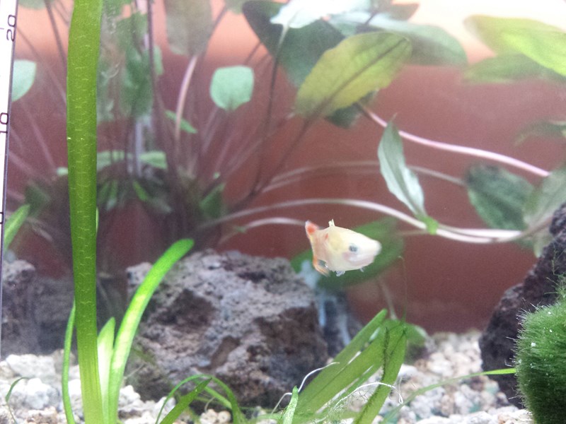 20130917_152440 (Copia)